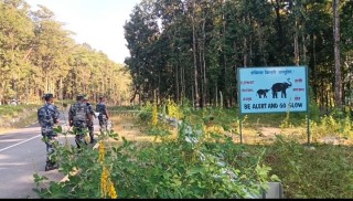 किसानलाई हात्तीबाट धानबाली जोगाउने चिन्ता   