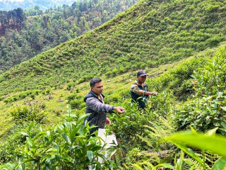 वडाध्यक्षको एउटा जुक्तिले बदलियो गाउँको परिचय