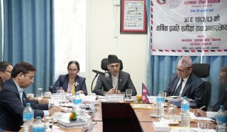 हुलाक सेवालाई व्यवस्थित गर्छौं : मन्त्री तिमिल्सिना   