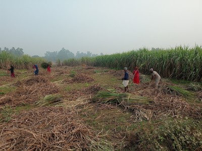 उखु किसानलाई धपेडी   