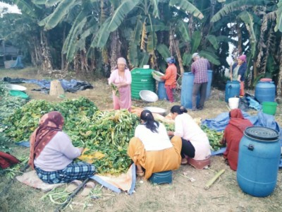 गुन्द्रुकले बदलेको ग्रामीण महिलाको जीवनस्तर   