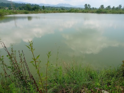पानीको स्रोत पुनर्भरण पोखरी   
