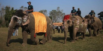 चितवनको सौराहामा १९औँ हात्ती तथा पर्यटन महोत्सव सुरु