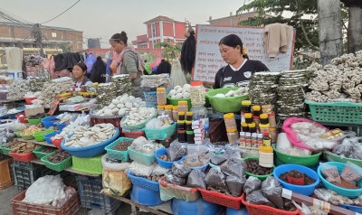 चिसो पहाडबाट झरेर तराईमा जडीबुटी व्यावसाय   