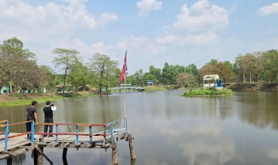 शङ्करबेली सिमसारमा दैनिक हजारौँ पर्यटक    