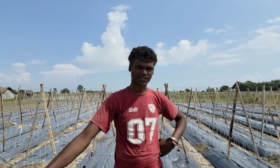 कोशीले जग्गा बगाएपछि भाडाको खेतमा तरकारीखेती गर्दै राकेश   