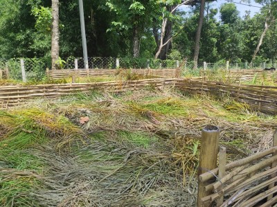 फत्तेपुरमा हरियोपात कुहाएर प्राङ्गारिक मल उत्पादन गरिँदै   