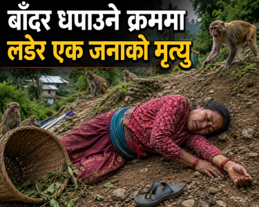 बाँदर धपाउने क्रममा लडेर एक जनाको मृत्यु
