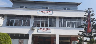 बागमतीमा सरकार गठनको दौड, दलहरूबीच छलफल तीव्र