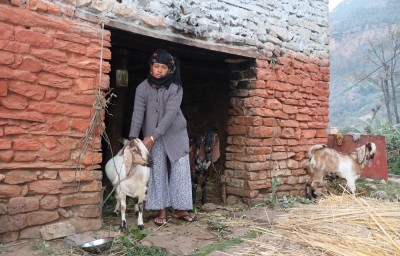 आर्थिक सामाजिक जोखिम व्यवस्थापन सूचना प्रणाली प्रभावकारी   