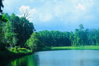 पर्यटकको रोजाइमा वेतना सिमसार   