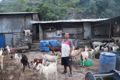 बाख्राले दिलाएको सम्मान र सन्तुष्टि