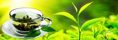 चियाको निर्यात ३२ प्रतिशतले बढ्यो   