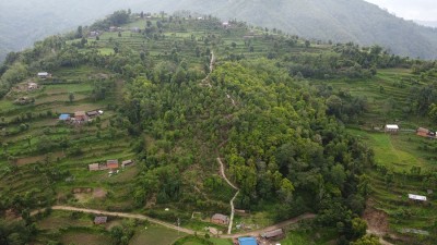 भोजपुरको वाक्चाखामा ‘जाल्पादेवी गुराँस पदमार्ग’ निर्माण   
