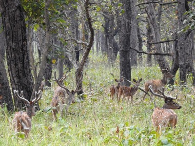छ महिनामा दुई हजार छ सय पर्यटकले गरे शुक्लाफाँटा भ्रमण