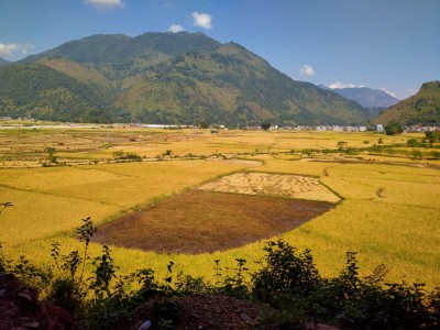 कृषिमा परनिर्भरता बढ्ने क्रम उच्च        