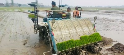 प्रविधिले फेर्‍यो झापाको कृषि चित्र