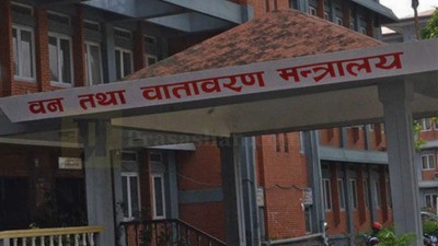 वन क्षेत्रका लागि जेसी योजना, लाभ बाँडफाँटमा ३५ प्रतिशत महिला अनिवार्य        