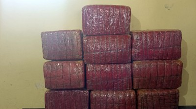 एक क्वीन्टल ३० केजी गाँजासहित दुई जना पक्राउ    