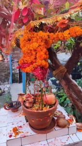 आज हरिबोधिनी एकादशी, देशभरका नारायण मन्दिरमा भक्तजनको घुइँचो