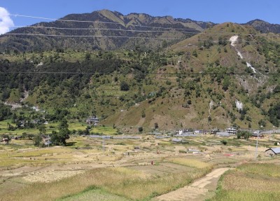 दसैँको चहलपहल बढे पनि बाजुराका किसान धान भित्र्याउन व्यस्त   