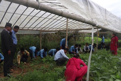 विद्यार्थीलाई अभ्यासमूलक व्यावहारिक शिक्षा दिँदै ‘यशोधरा’   