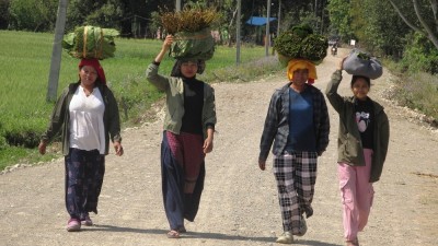 थारु बस्तीमा बढ्यो माघीको चहलपल  