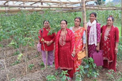 महिलाको सक्रियतामा तरकारीखेती   