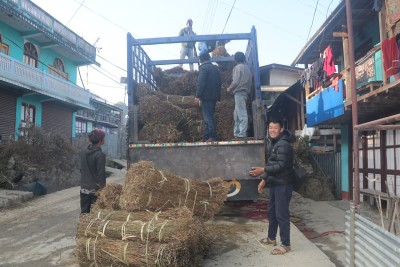 चिराइतो बिक्री नहुँदा किसान चिन्तित   