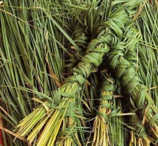 ‘कुश ल्याउने पुरोहितसमेत गाउँमा छैनन्’   