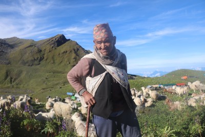 भेडागोठमा लालबिरका सात दशक   