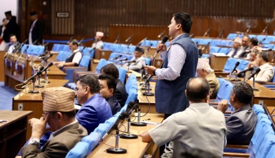 उच्चस्तरीय कूटनीतिक माध्यमबाट नेपाली भूमिको रक्षा गर्न माग    
