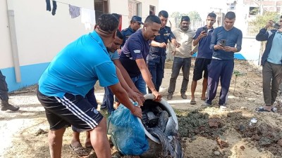 प्रतिबन्धित मुङ्ग्री माछा नष्ट    