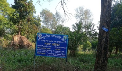 मणिमुकुन्देश्वर नक्षत्र वाटिका उपेक्षामा   