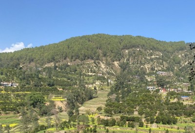 काभ्रेमा कृषि-पर्यटन प्रवर्द्धनार्थ ‘सुन्तला-हाइकिङ’   