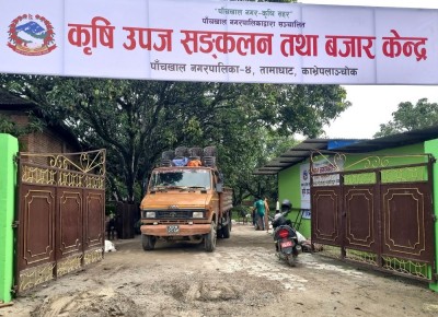पाँचखालमा ‘विषादीरहित’ तरकारी संकलन केन्द्र सञ्चालन    