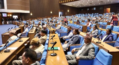 प्रतिनिधिसभा : मन्त्रीहरुको सम्पत्ति विवरण सार्वजनिक गर्न माग        