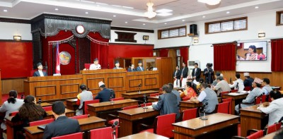 खाना पकाउने ग्यासको कृत्रिम अभाव अन्त्य गर्न राष्ट्रियसभाको आग्रह