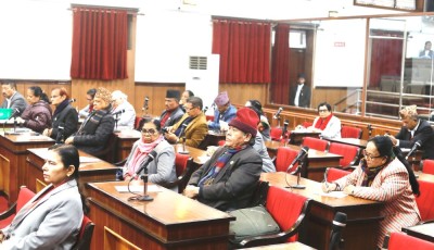 सांसदहरूद्वारा समसामयिक विषयमा सरकारको ध्यानाकर्षण        