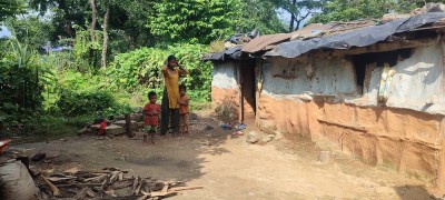 फेरियो लोपोन्मुख राउटेको जीवनशैली   