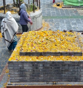 बालाचतुर्दशीः डोलेश्वर,ज्योतिर्लिङ्गेश्वर र गोकुलधाममा छरियो शतबीज     