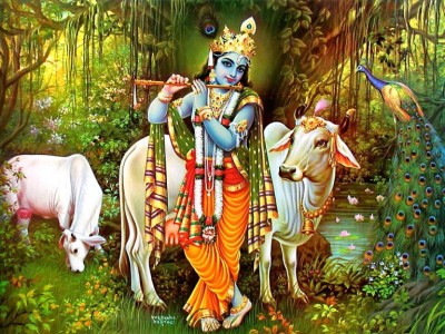 रातभर जाग्राम बसी मनाइयो श्रीकृष्णजन्माष्टमी, रथयात्राको तयारी   
