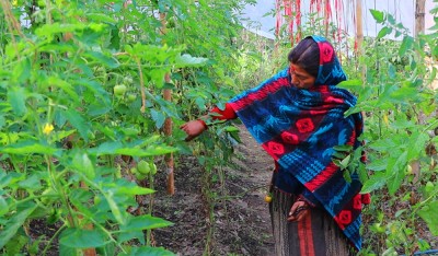 तरकारीखेतीले फेरिँदै जीवनशैली   