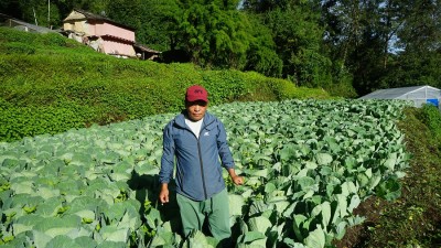 ‘अहिलेसम्म टिकोटमा रासायनिक मल भित्रिएको छैन’   