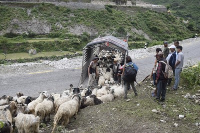 सहरको स्वादका लागि छुट्छ हिमालको दसैँ–तिहार   