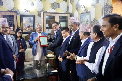 निर्वाचनसम्बन्धी प्रतिवेदन आयोगसमक्ष प्रस्तुत    