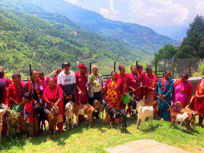 किसानका आयआर्जनमा सघाउन ‘बाख्रा उपहार’   