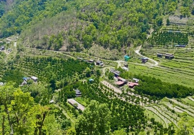 म्याग्दीमा कृषि विकासका विविध कार्यक्रम कार्यान्वयनमा   