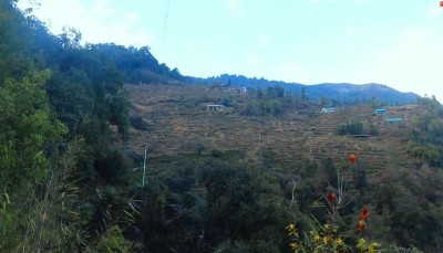 भोजपुरको टेम्केमैयुङमा केन्द्रीय विद्युत् विस्तार   