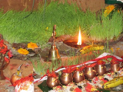 आज नेपालीका घर घरमा फूलपाती भित्र्याइँदै   